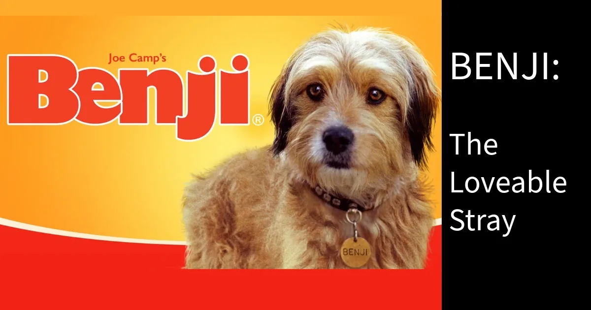 Benji: The Lovable Stray Who Captured Hearts Worldwide