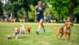 Exercise for Dogs: Tailoring Activity to Age and Breed