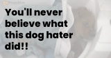 You’ll never believe what this dog hater did!!